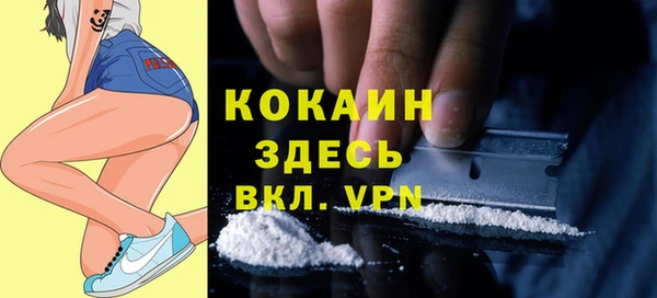 ешки Бородино