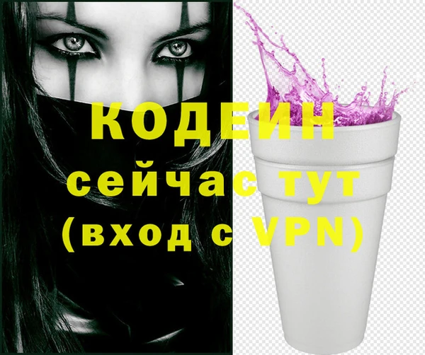 ешки Бородино
