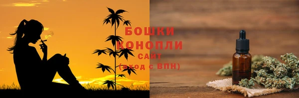 ешки Бронницы