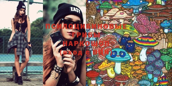 ешки Бородино